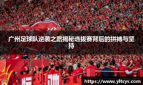 BB贝博艾弗森官方网站